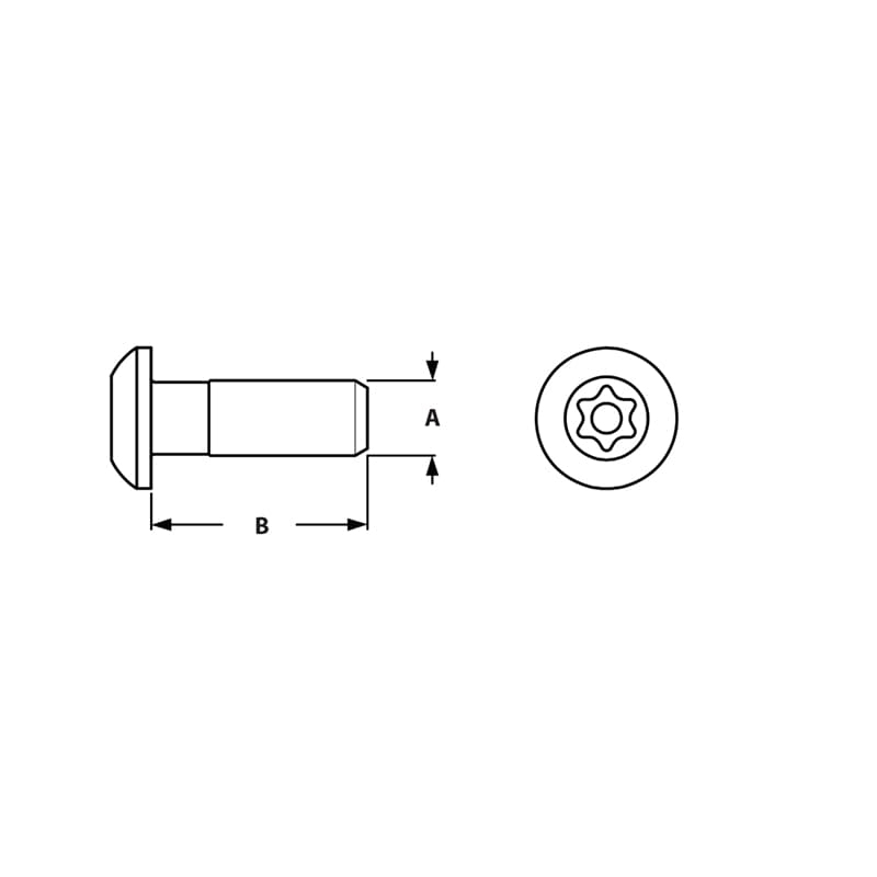 Image of Self Tapping Screw Torx